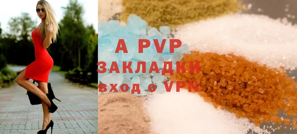 ECSTASY Богородицк