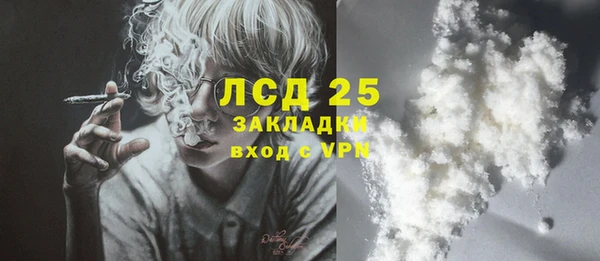 ECSTASY Богородицк