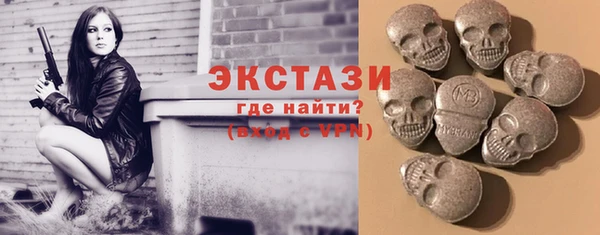 ECSTASY Богородицк