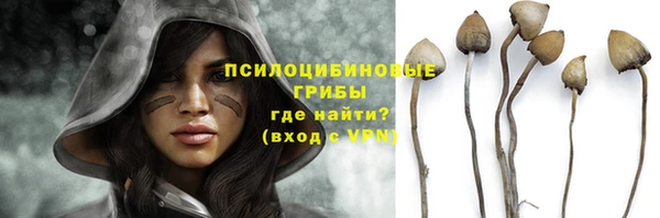 амфетамин Богданович