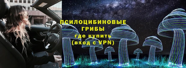 ECSTASY Богородицк