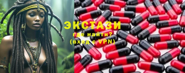 ECSTASY Богородицк