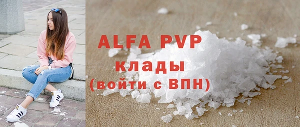 ECSTASY Богородицк